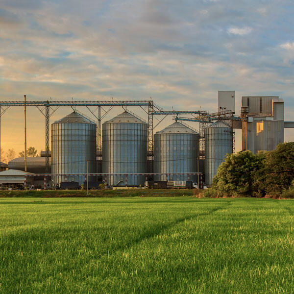 Grain Storage Facilities